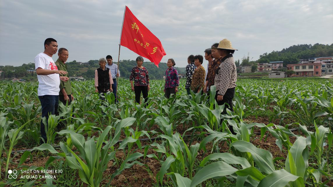 現場助農
